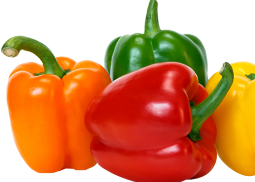 Fresh Pepper